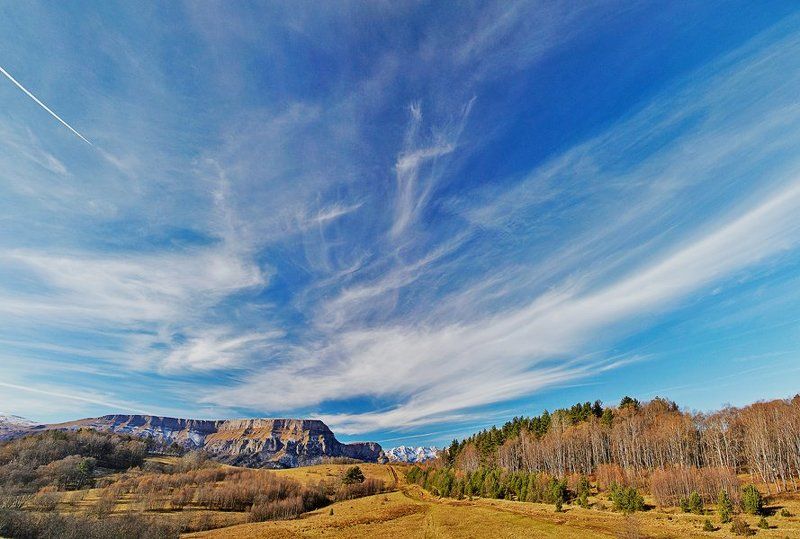 скирда, бамбак Хребет Скирдаphoto preview