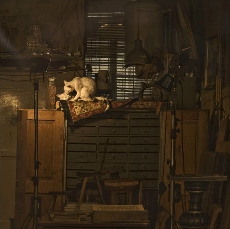 кошки, любовь, интерьер мы здесь одни... и я тебя люблю..photo preview