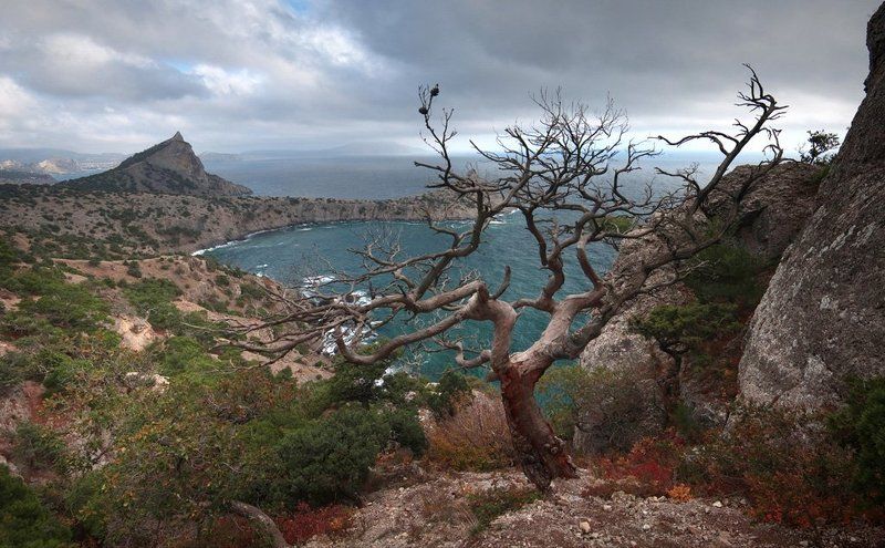 Караул- Обаphoto preview