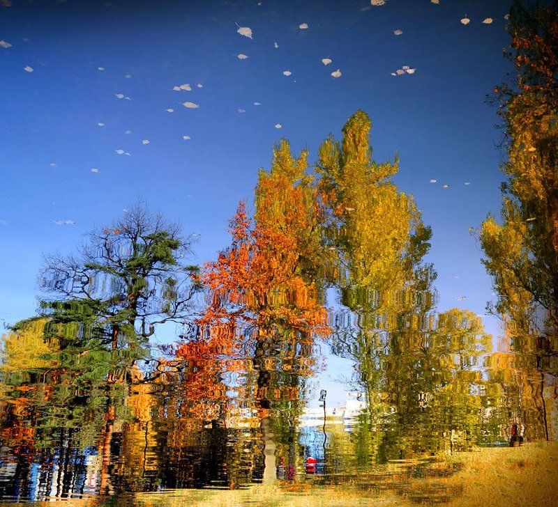 Осенние отражение.photo preview