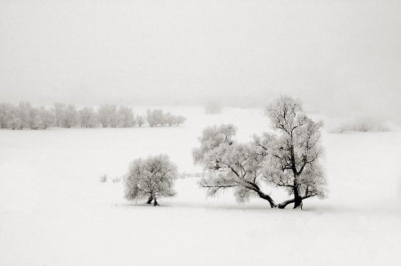 Безымянная...photo preview