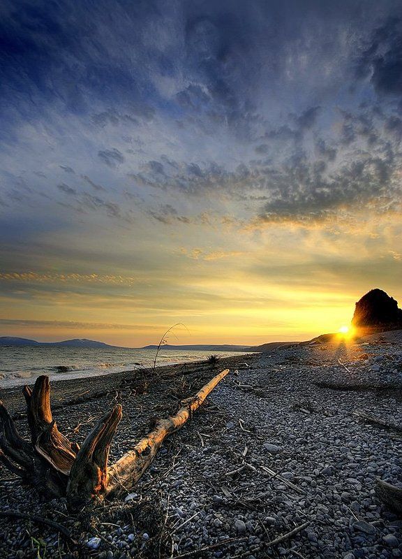 Закат с бревномphoto preview