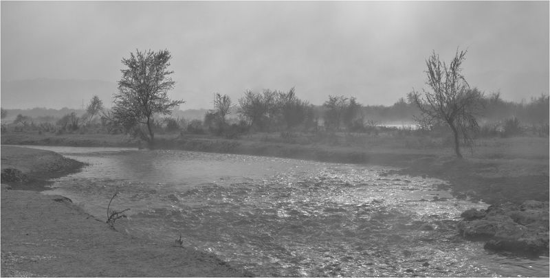 природа *photo preview