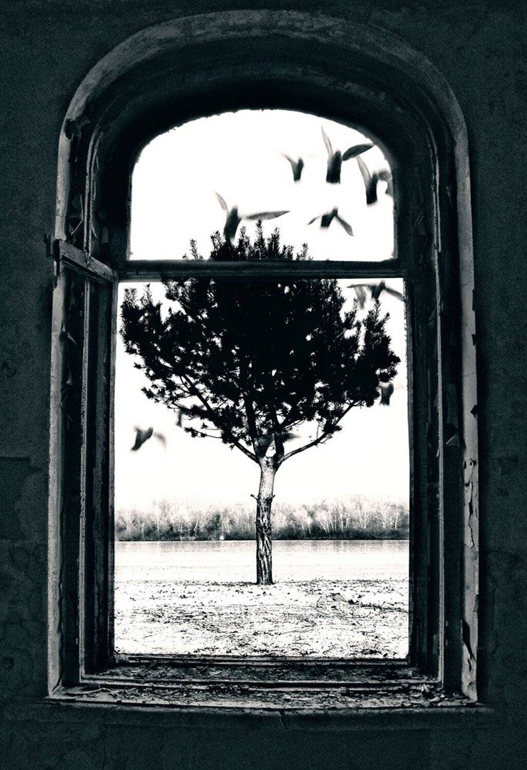 Автор: Дмитрий , Дмитрий