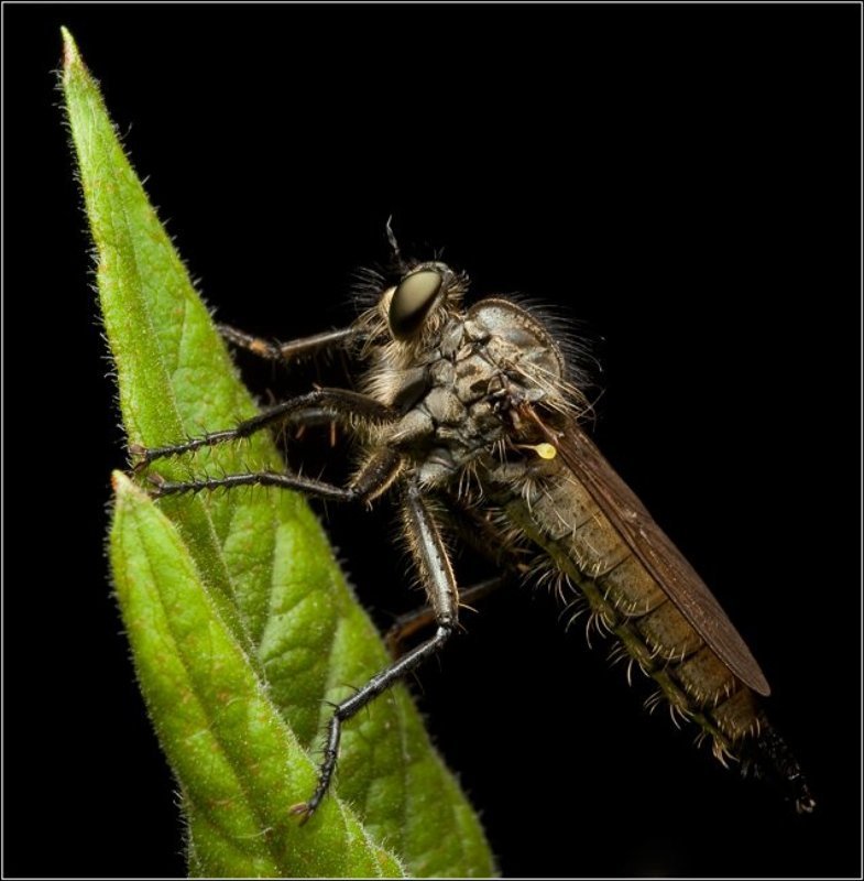 графphoto preview