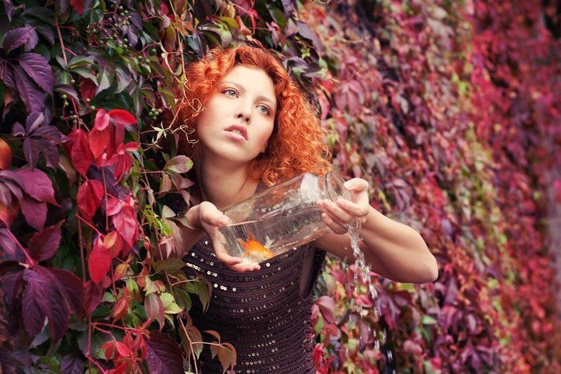 * * * * *photo preview