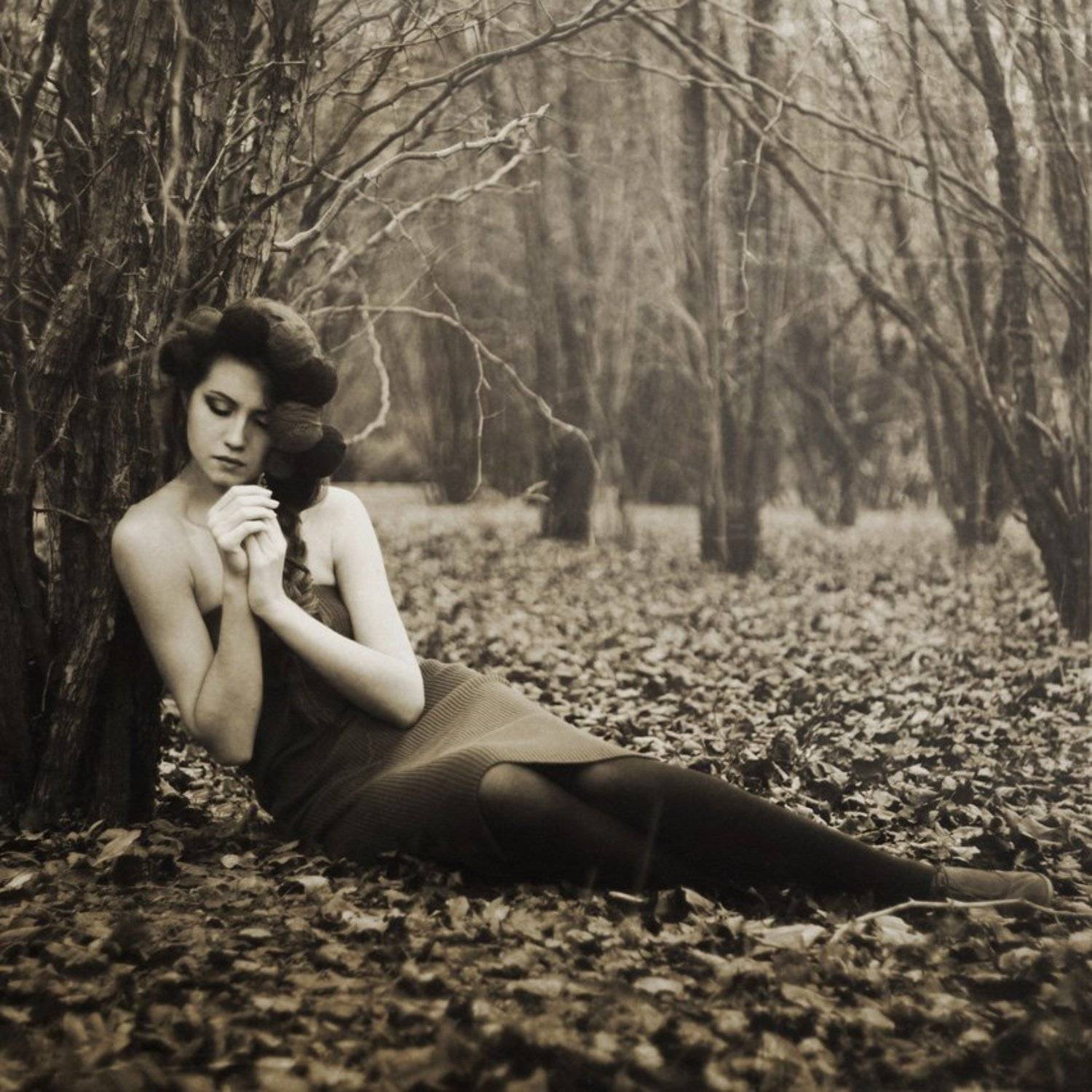 Сказки холодной осени. Автор: Анастасия Авдеева , Анастасия Авдеева