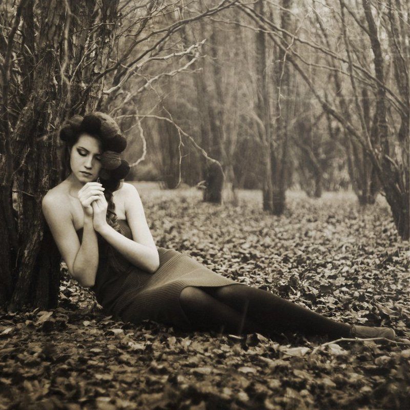 Сказки холодной осениphoto preview