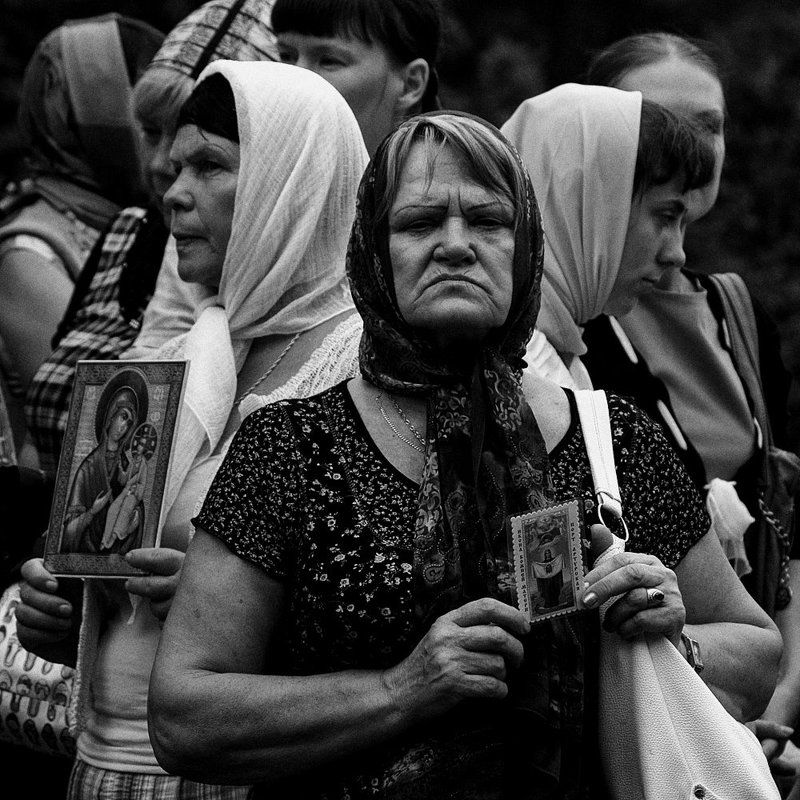 Верныеphoto preview