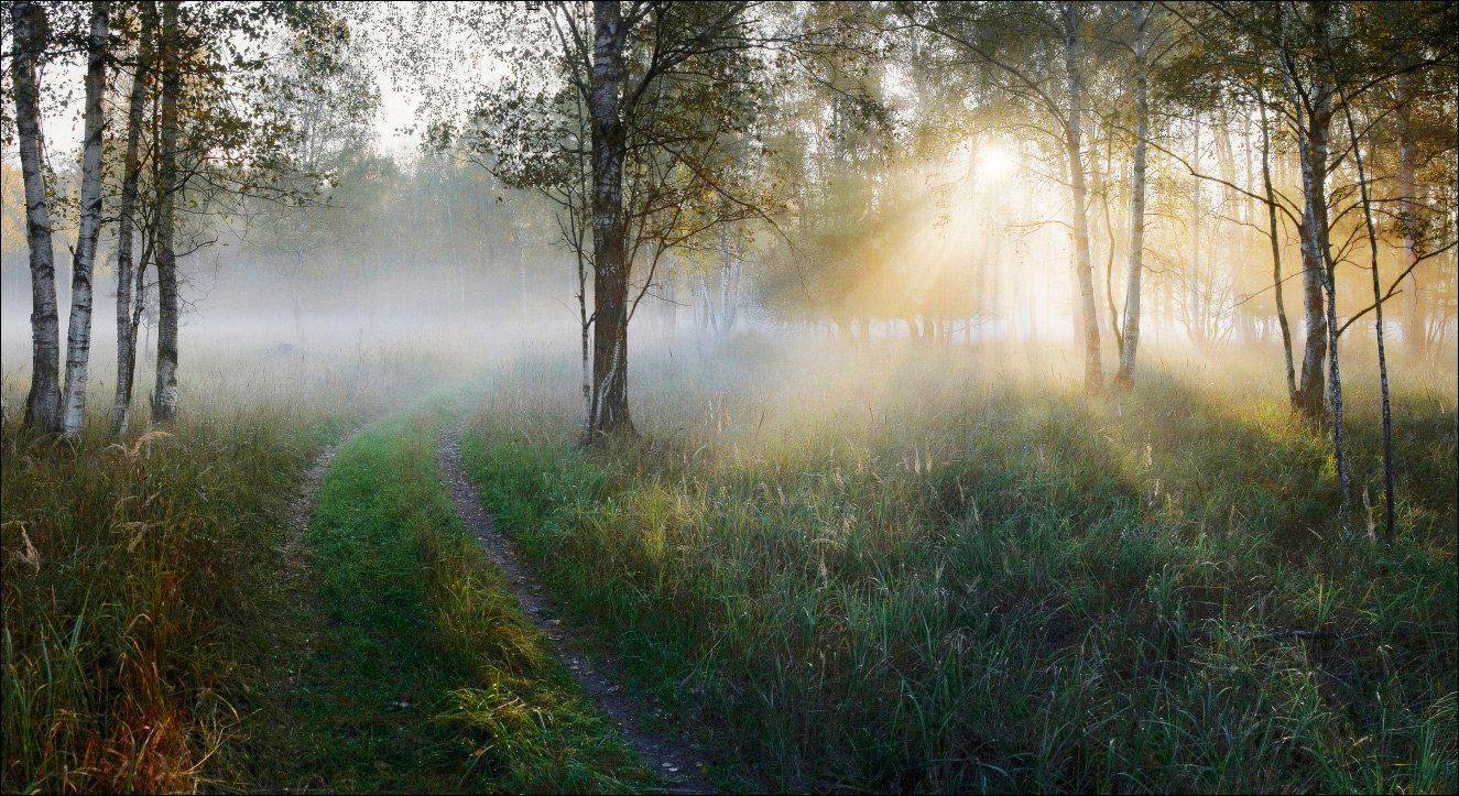 , Вадим Никифоров