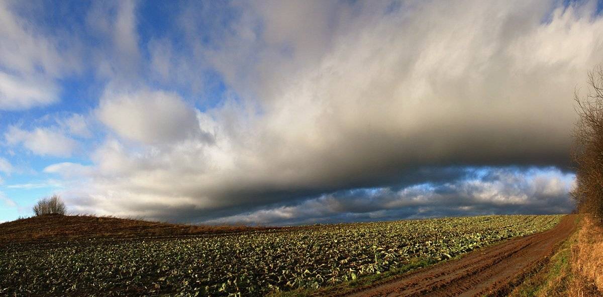 Воздушный мостик. Автор: Аркадий Белов , Аркадий Белов