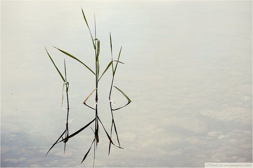 Ария из неизвестной оперы