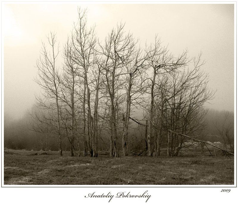 Семьяphoto preview