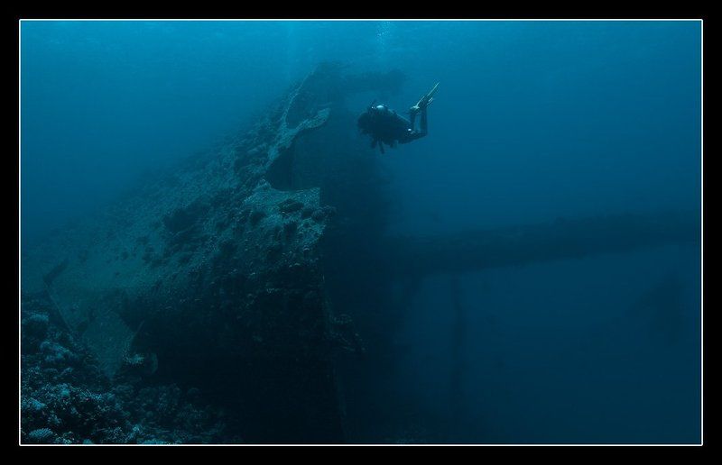 Giannis Dphoto preview