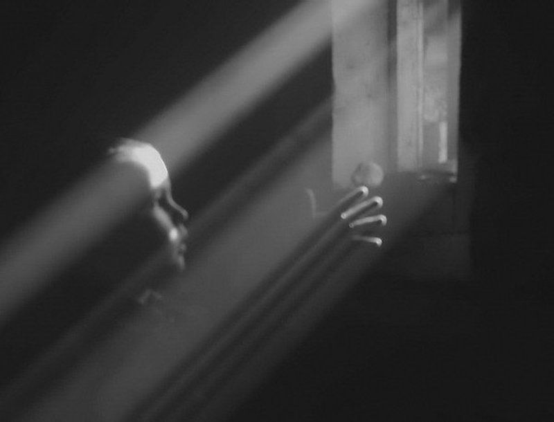 ловец солнца)photo preview