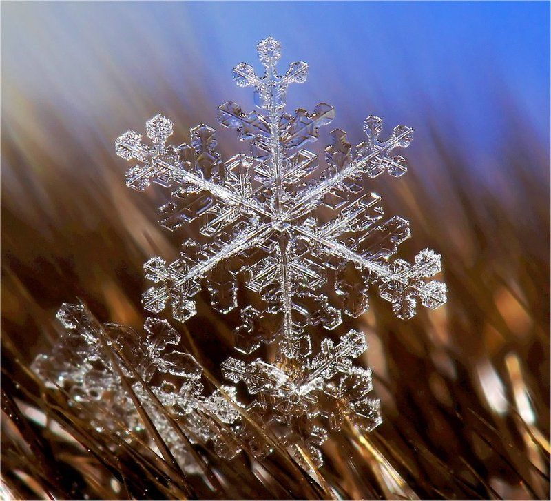 Частичка зимы.photo preview