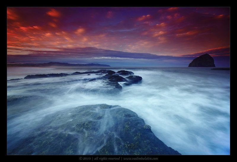 Coastal Dreamphoto preview