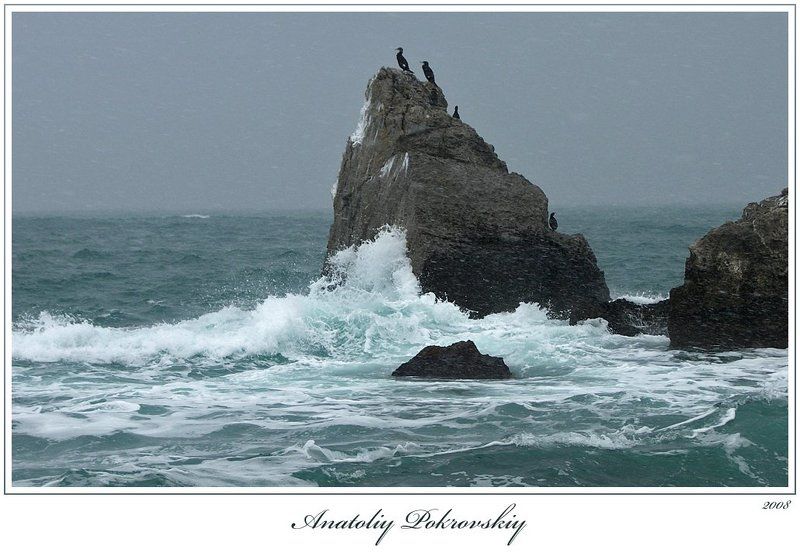 Ждать с моря погодыphoto preview