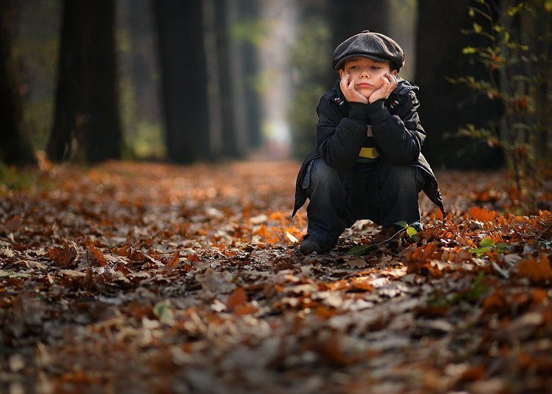 осенние, прогулки, са Осенние прогулки. САphoto preview