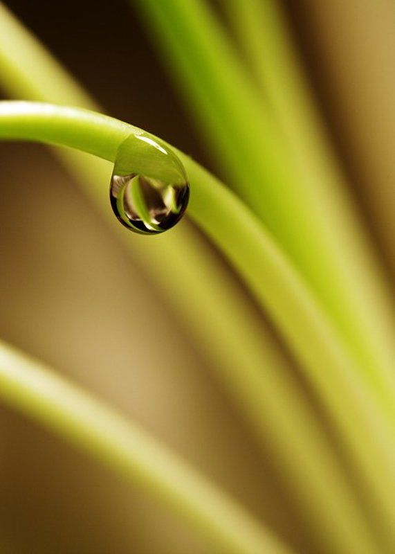 * * * * *photo preview