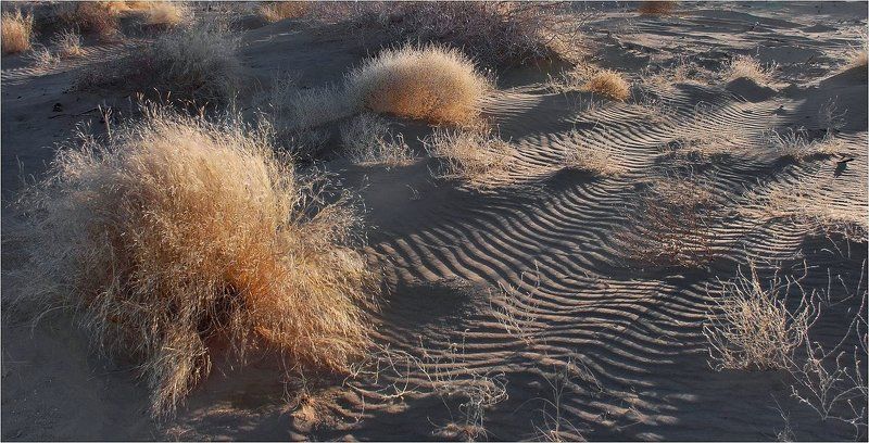 природа ***photo preview