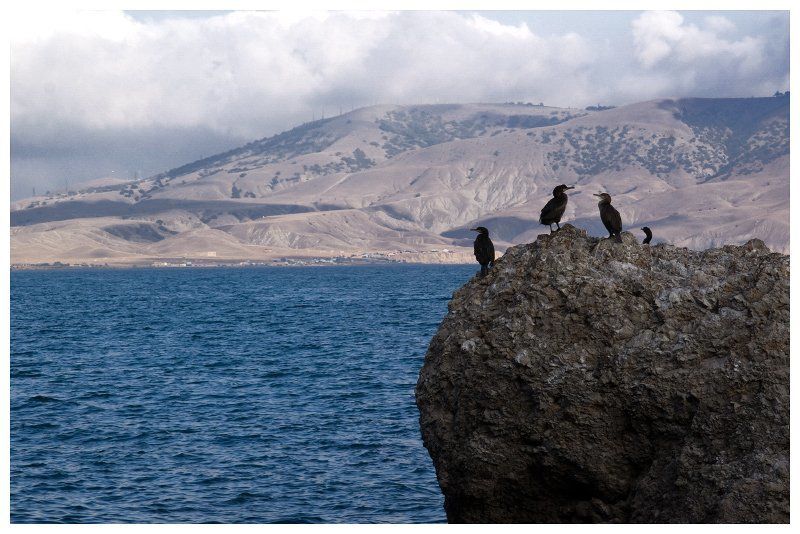 следящие за обстановкойphoto preview