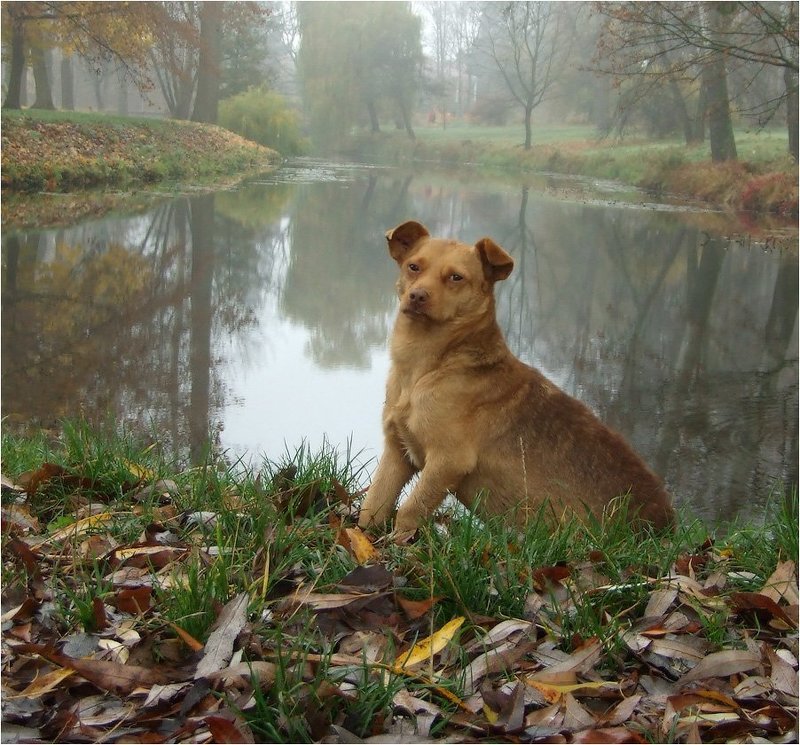 Необычная фотосессияphoto preview