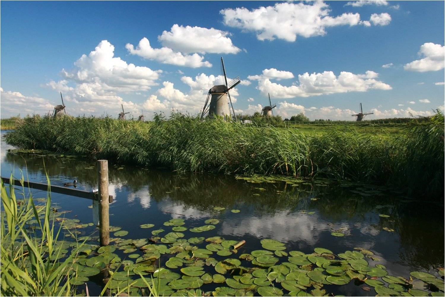 Из мира мельниц 2. Автор: Leonid Ostrenok , Leonid Ostrenok