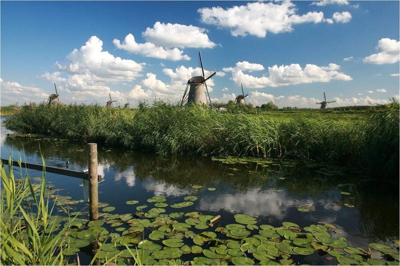 Из мира мельниц  2photo preview