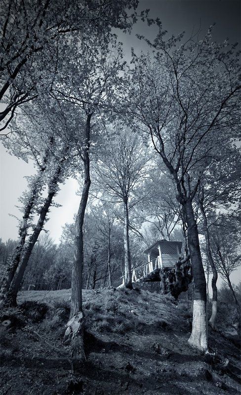 Мистериphoto preview