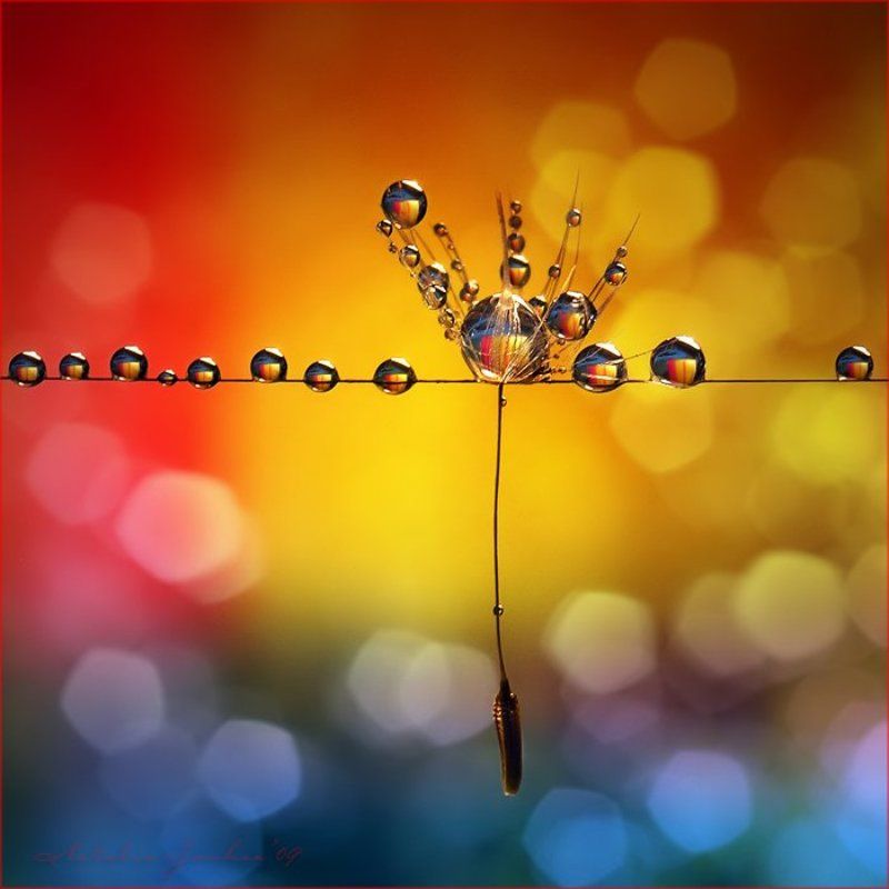 drop, water, air, капля, вода, воздух, natalia, jeshoa art-macro C i r c u sphoto preview