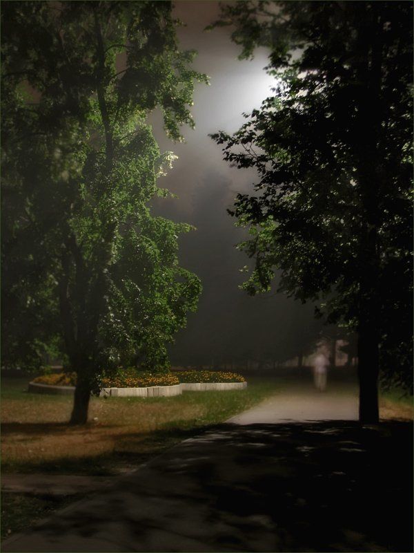 Дым, ночь, парк..photo preview