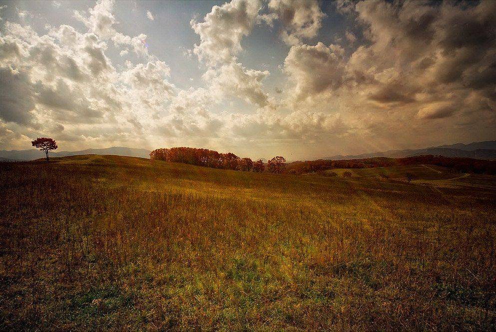 приморский, край, Валерий