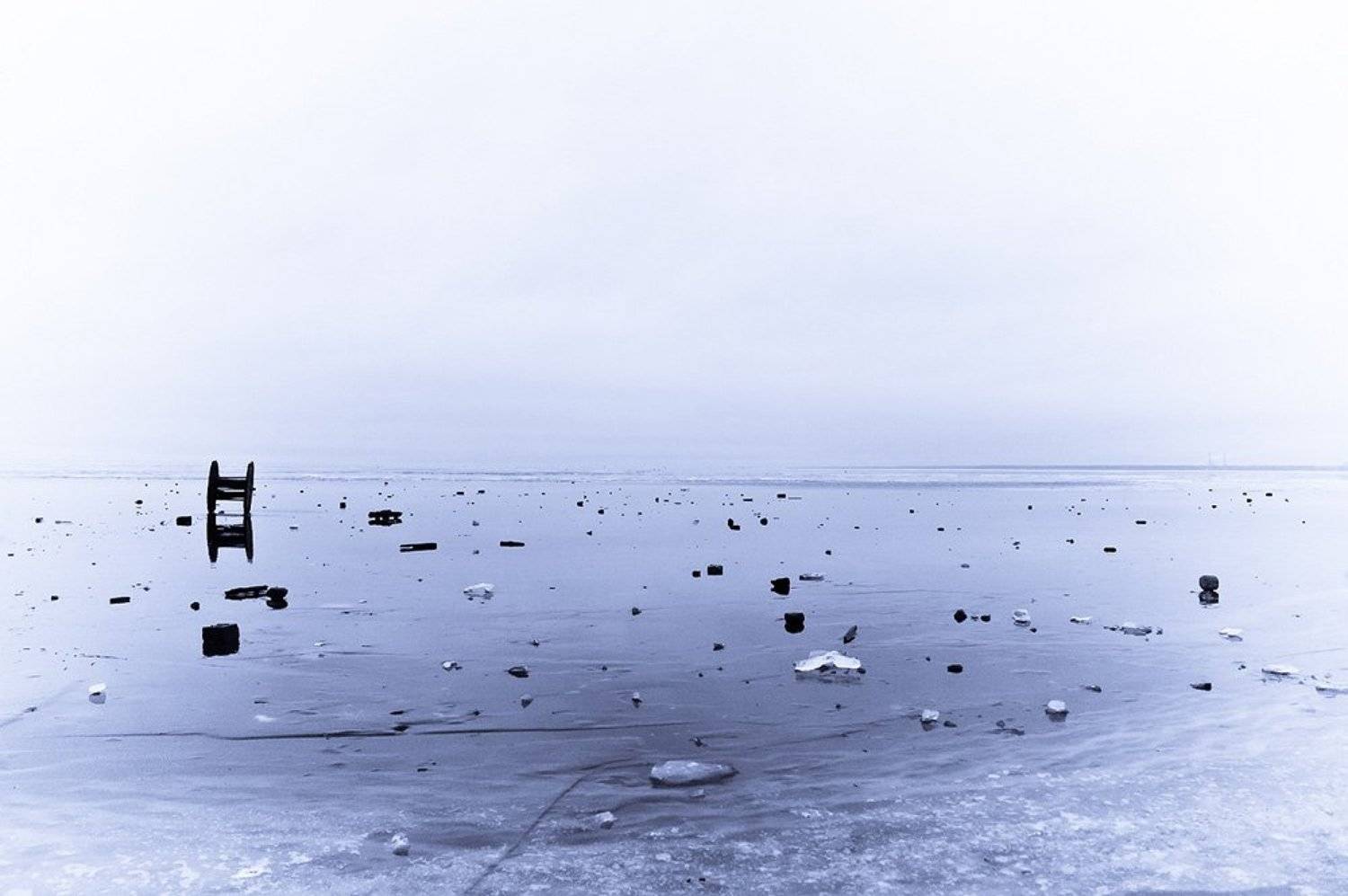 Белое безмолвие. Автор: Лебедев Вадим , Лебедев Вадим