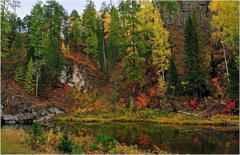 Осенняя зарисовка.photo preview