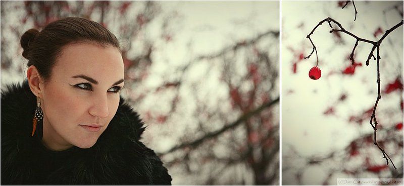 blackbird, черный, дрозд, девушка, птица, ягодка, зима BLACKBIRDphoto preview