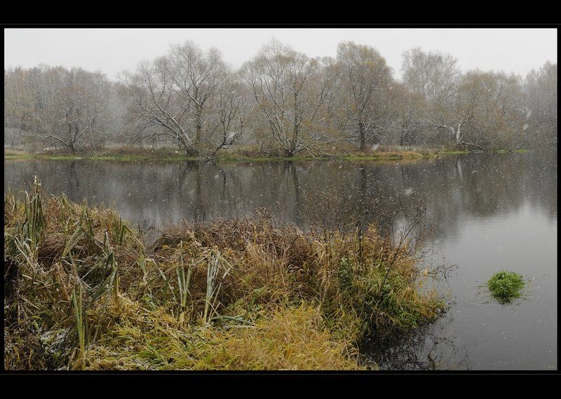 осень, снег, троицк 01.11.10photo preview