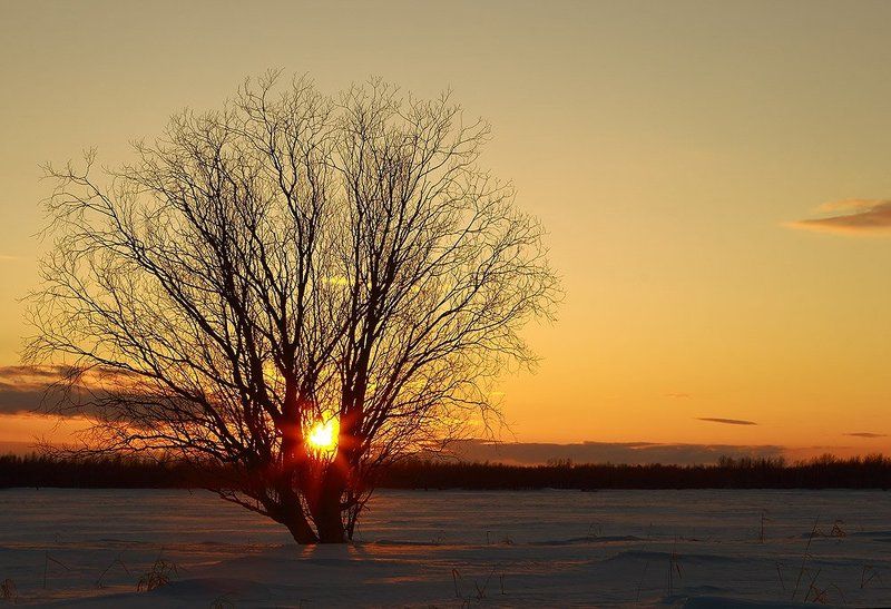 Вечерело...photo preview