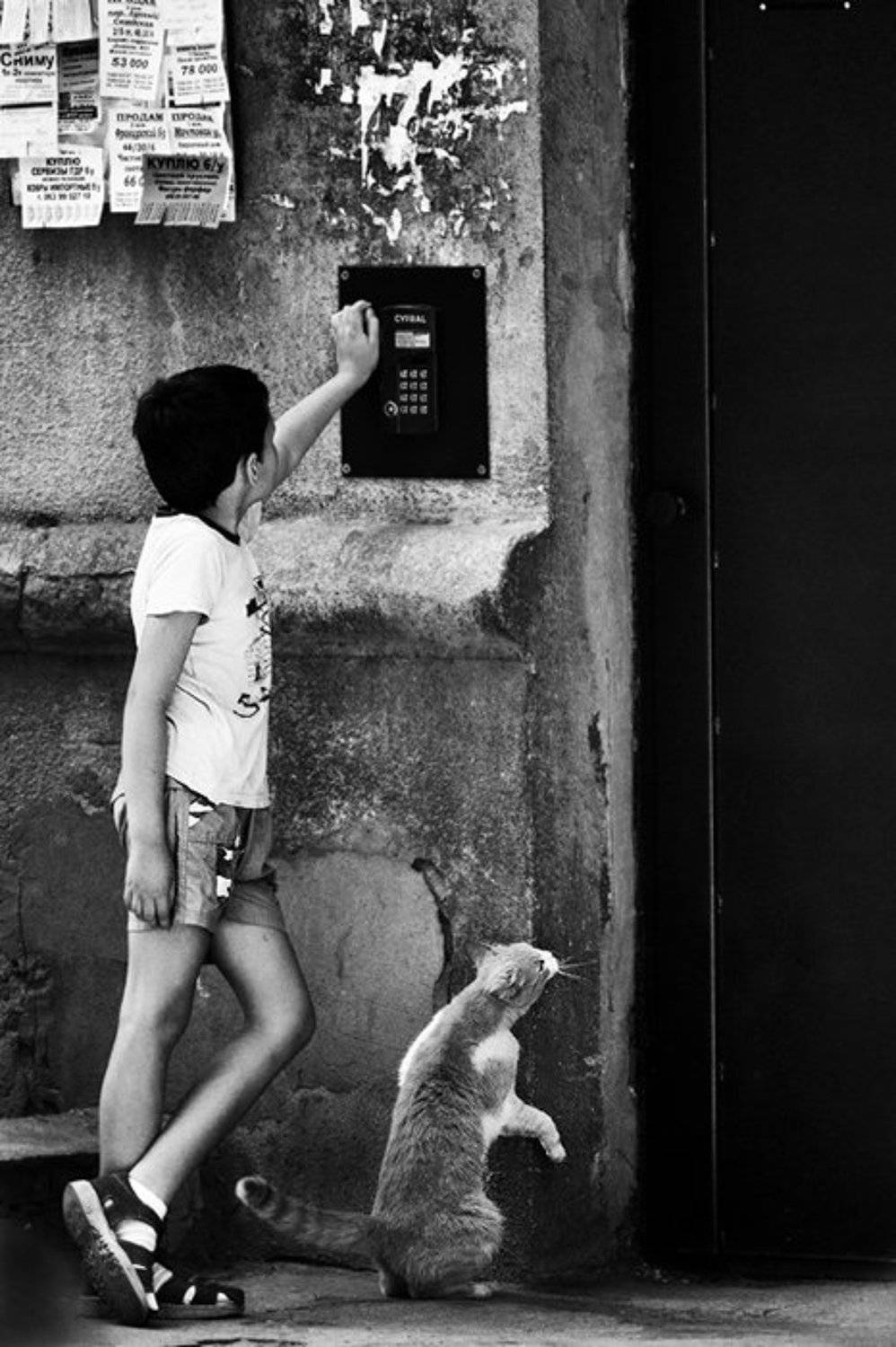 На обед. Автор: Максим Юлдашев (maximyuldashev.ru) , Максим Юлдашев (maximyuldashev.ru)