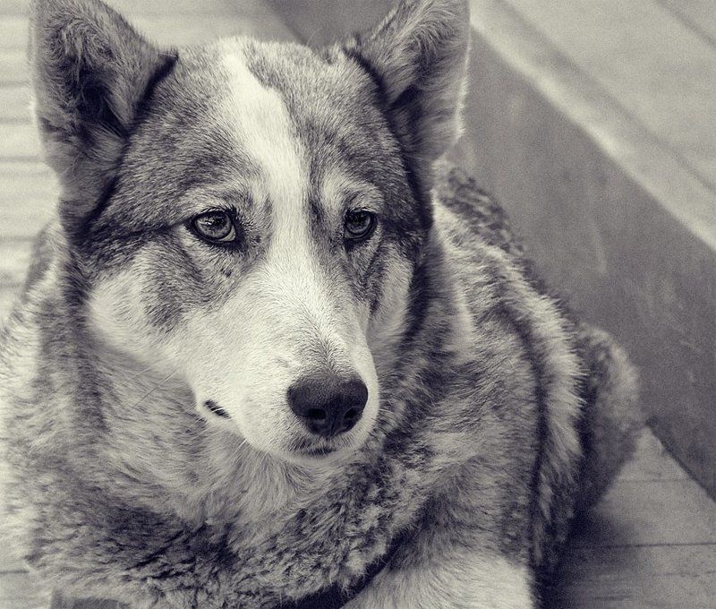 Где же ты сейчас?photo preview