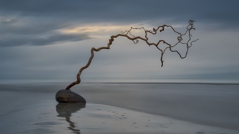 Kupandaphoto preview