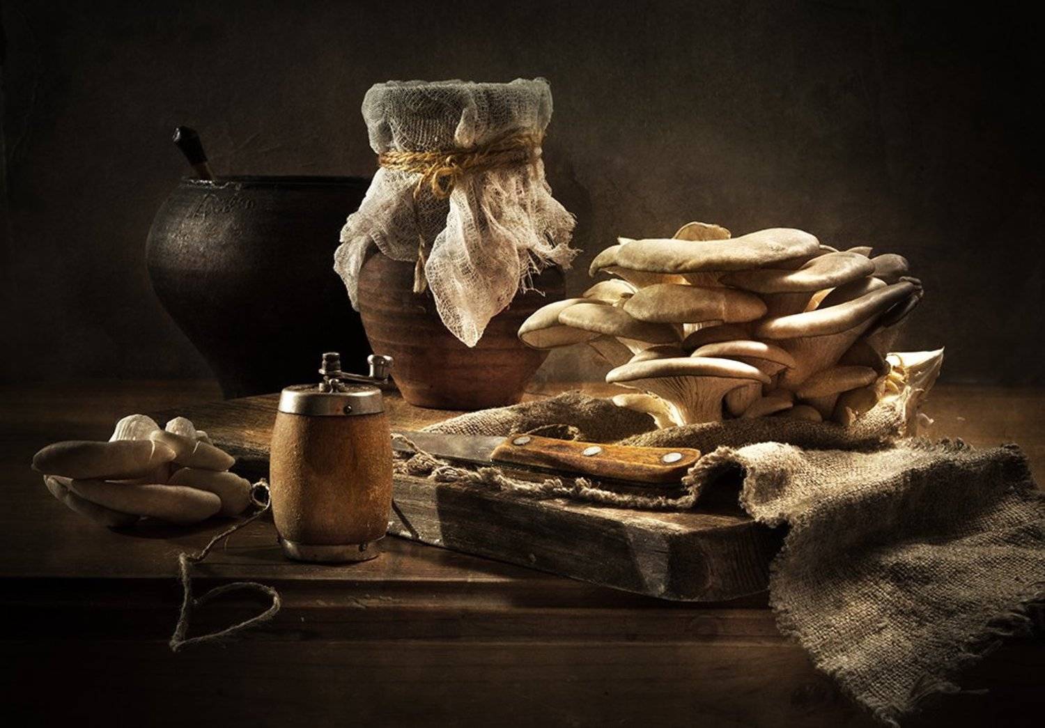 С вешенками. Автор: Лев Сердюков , Лев Сердюков