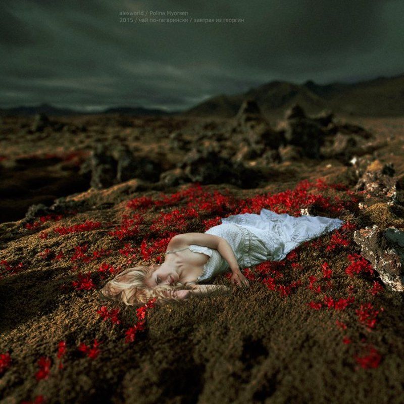 Untitledphoto preview