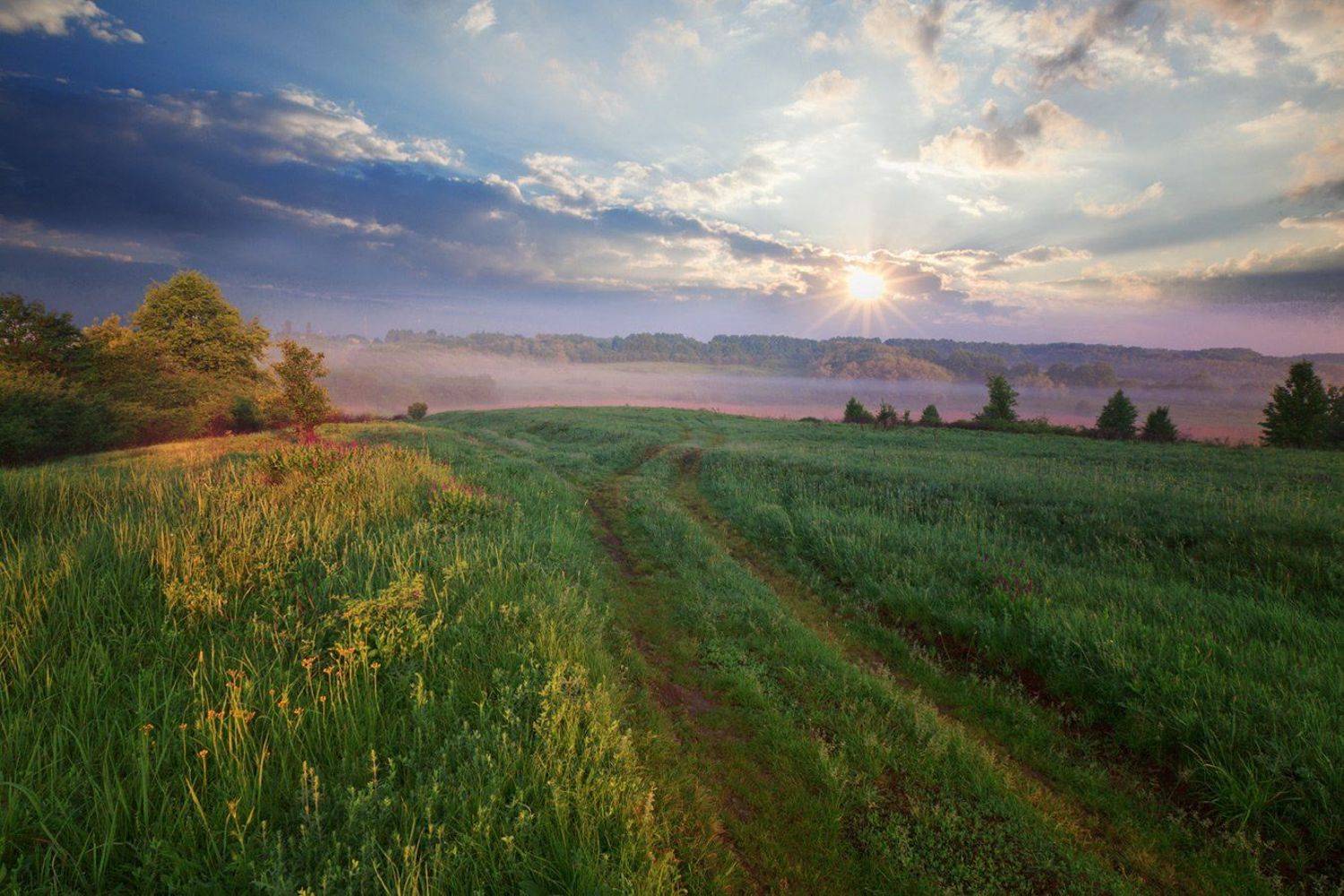 , Петр Антонович