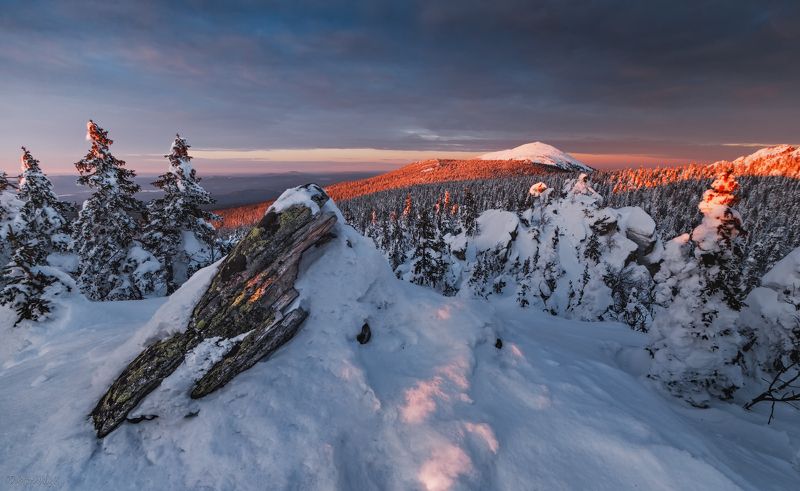 Круглица в вечернем светеphoto preview