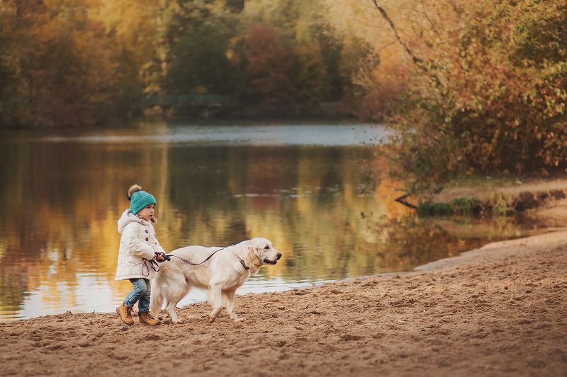 золотистый ретривер, фотосессия с золотистым ретривером, ребенок и золоистый ретривер, девочка с собакой Соня и Рейчелphoto preview