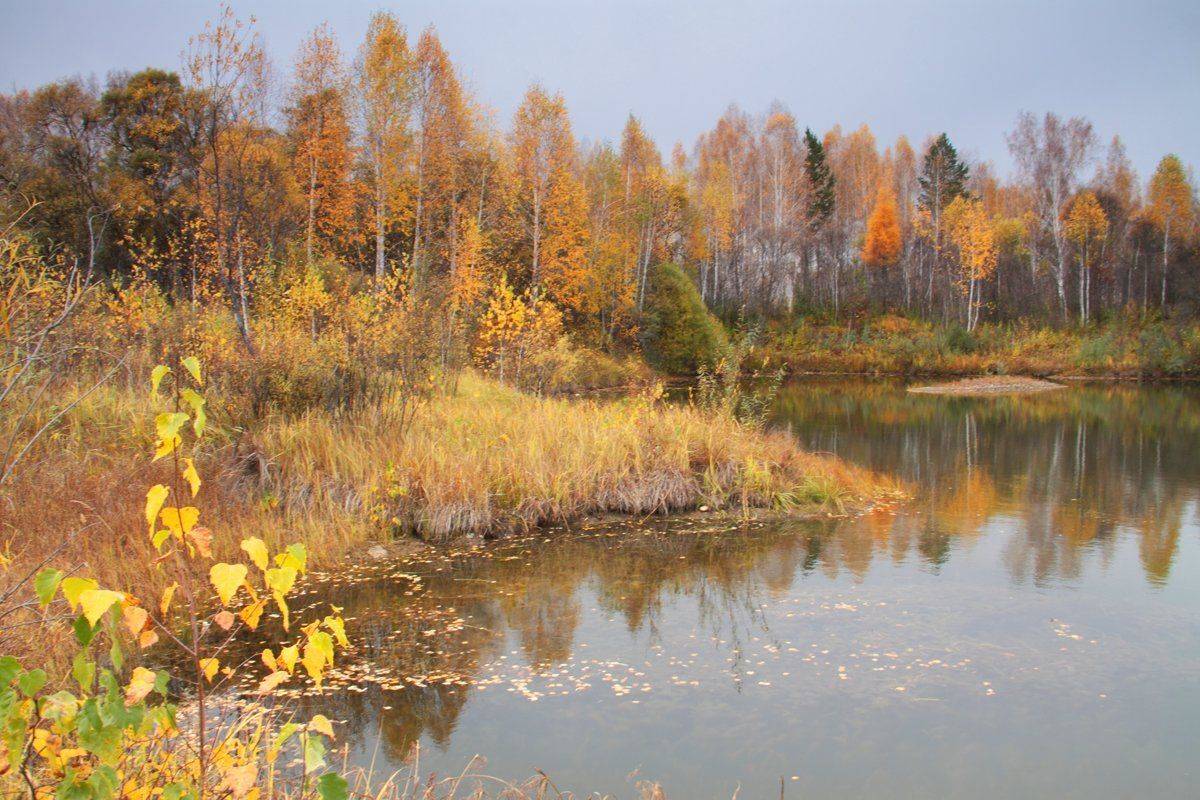 В октябре как в сентябре. Автор: Николай М , Николай М