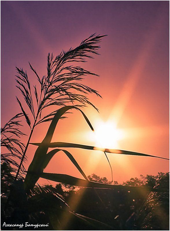 Вездесущие лучиphoto preview