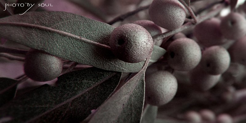 small 2photo preview