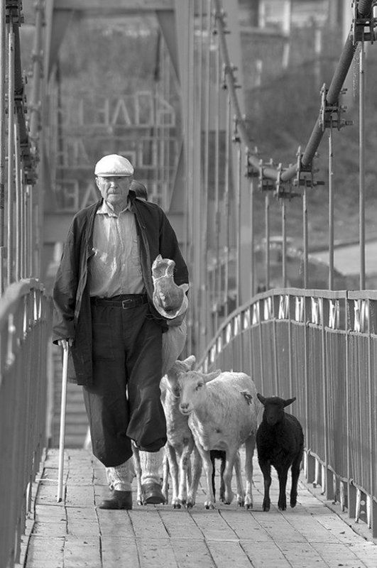 один миг  из жизни...photo preview